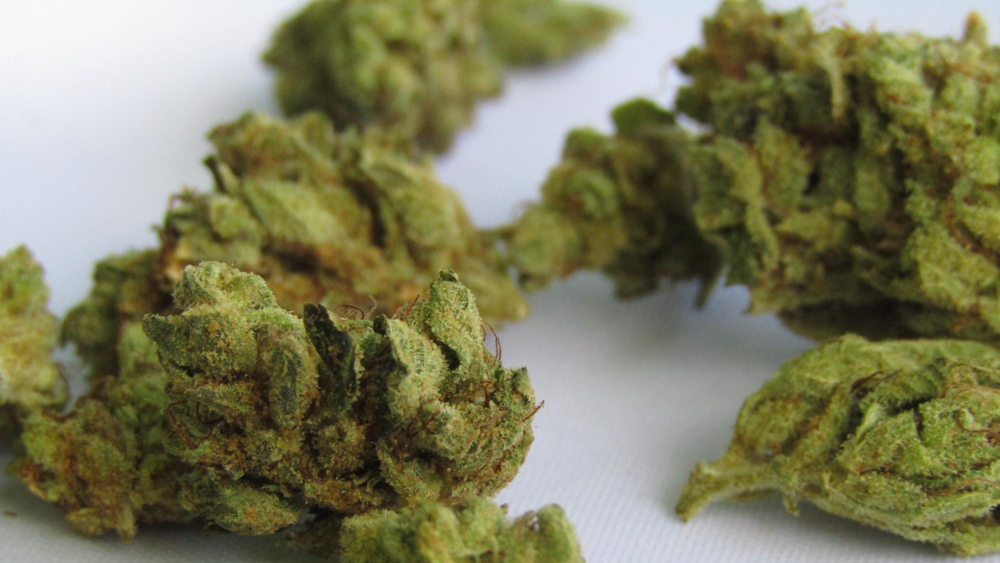 Authorities and Marijuana