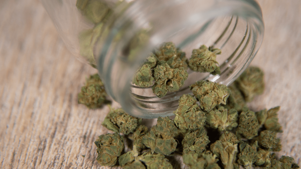 Why Federal Cannabis Research Funding Matters More Than Ever